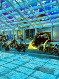 A Holistic Wellness and Relaxation Oasis