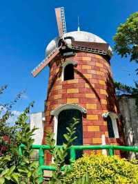 Sirao Flower Farm – A Colorful Escape in Cebu
