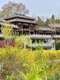 Where History Blooms – A Stroll Through Luoyang Wangcheng Park