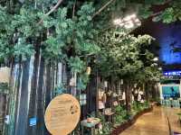 出國前最後一站也能充滿森林療癒🍃桃園機場「木育森林候機室」