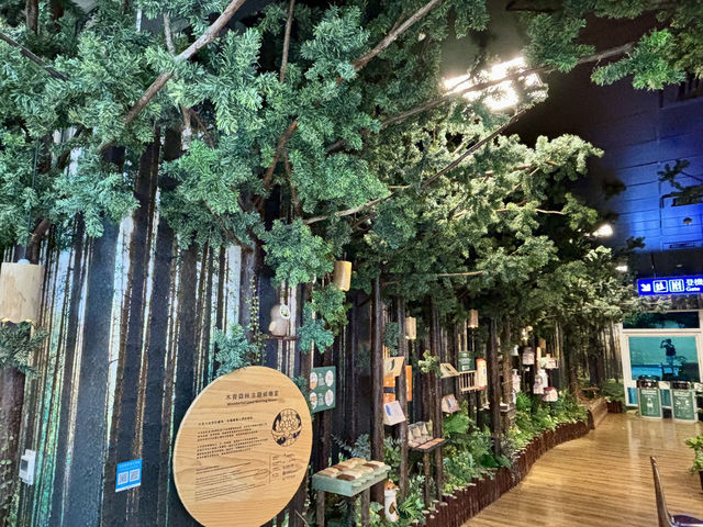 出國前最後一站也能充滿森林療癒🍃桃園機場「木育森林候機室」