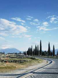 Soaking in Ancient Beauty 