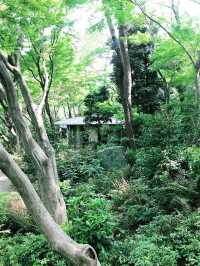 💧🏞️水と音がつなぐ非日常──品川・御殿山庭園の滝散歩