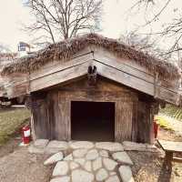 🌟 Dimitrie Gusti National Village Museum Solo Escape: Step into Romania’s Living Past! #SoloInBucha