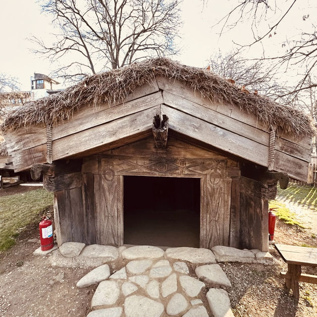 🌟 Dimitrie Gusti National Village Museum Solo Escape: Step into Romania’s Living Past! #SoloInBucha