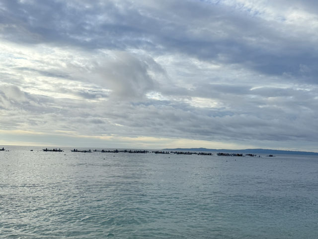 ดำน้ำดูฉลามวาฬที่ CEBU Philippines ✨
