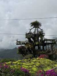 SAPA 사파!
