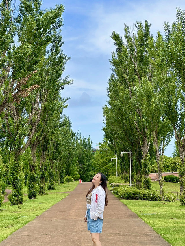 หนึ่งใน Starbucks ที่สวยที่สุดในโลก💚🤍 Toyama 🇯🇵