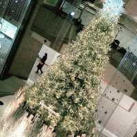 横浜ランドマークプラザのクリスマス: YOKOHAMA MINATOMIRAI WINTER HOLIDAY