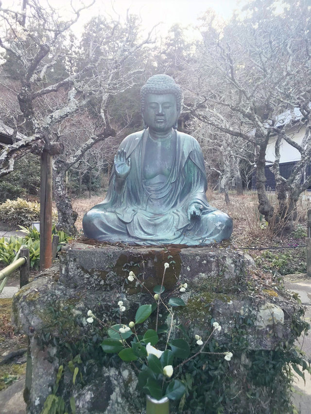 🌸雪解け間近の北鎌倉で、東慶寺の春を呼ぶ梅巡り ＆ まろやか甘酒でほっこり