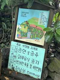 제주동쪽여행이라면 비밀의숲까지!