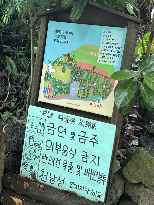 제주동쪽여행이라면 비밀의숲까지!