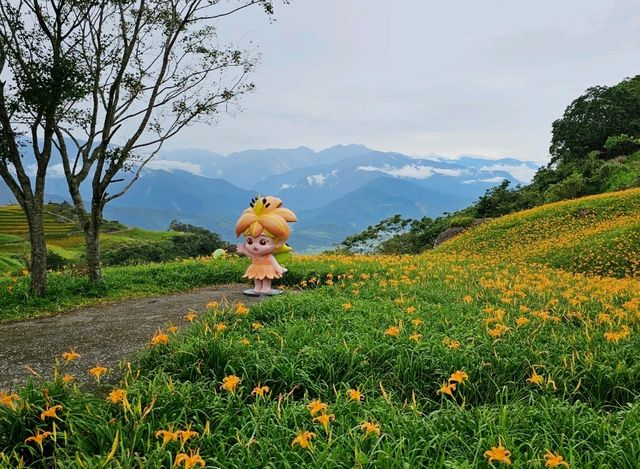 📍 花蓮｜一生必看，山林間的金色花海