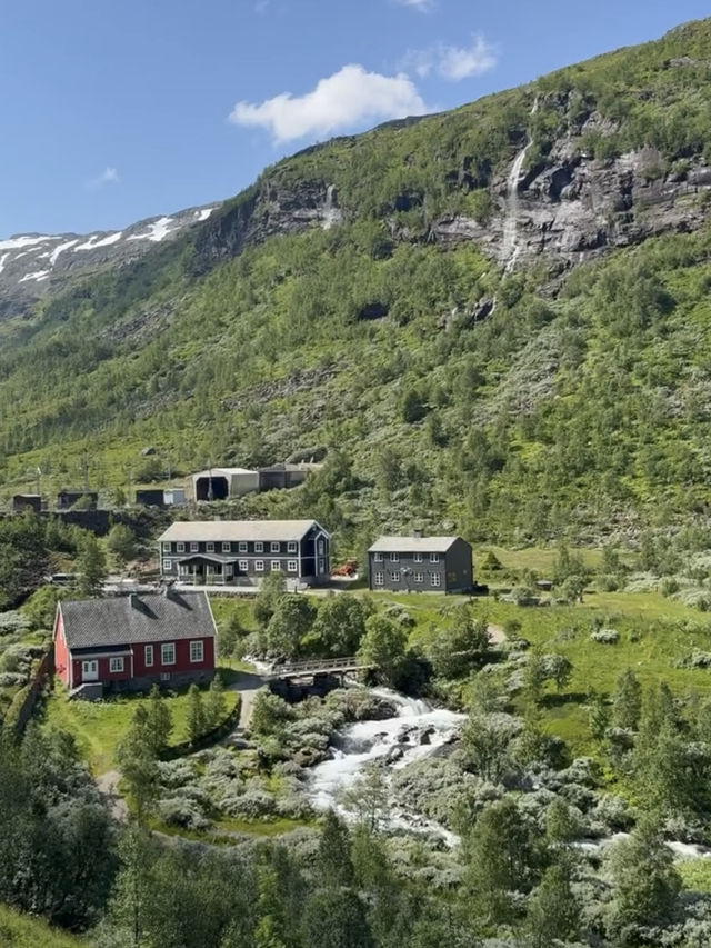 【世界一美しい鉄道旅】フロム鉄道で絶景を駆け抜ける感動体験🚂🏞️