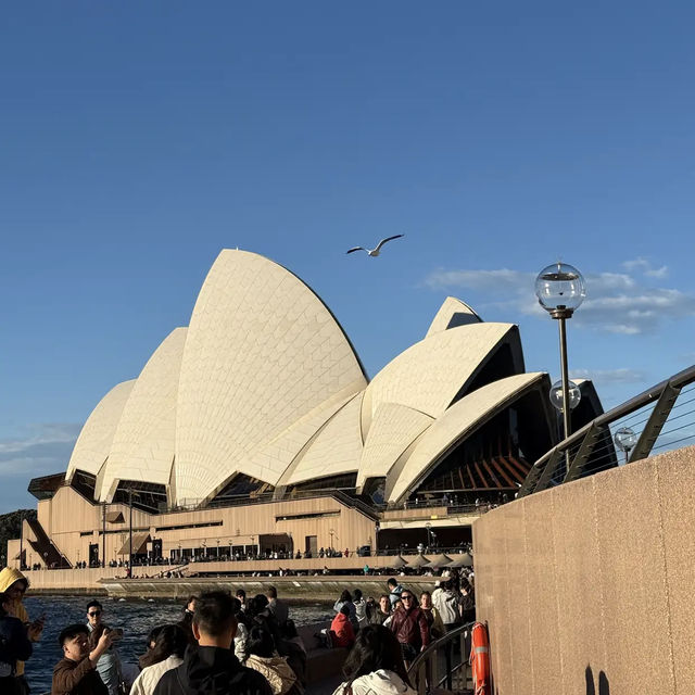 Sydney Harbour National Park 🏞️🏙️