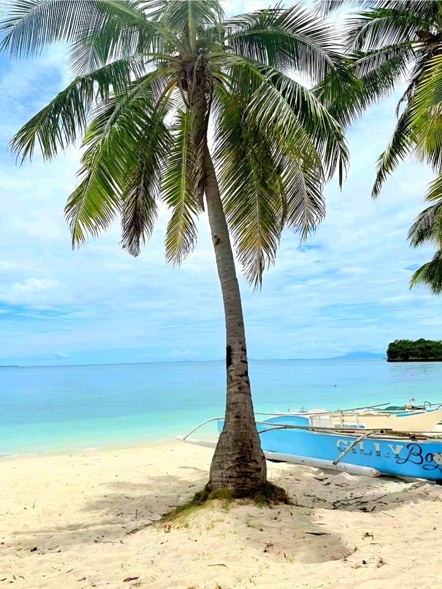 Malapascua Island: Cebu’s Tropical Treasure