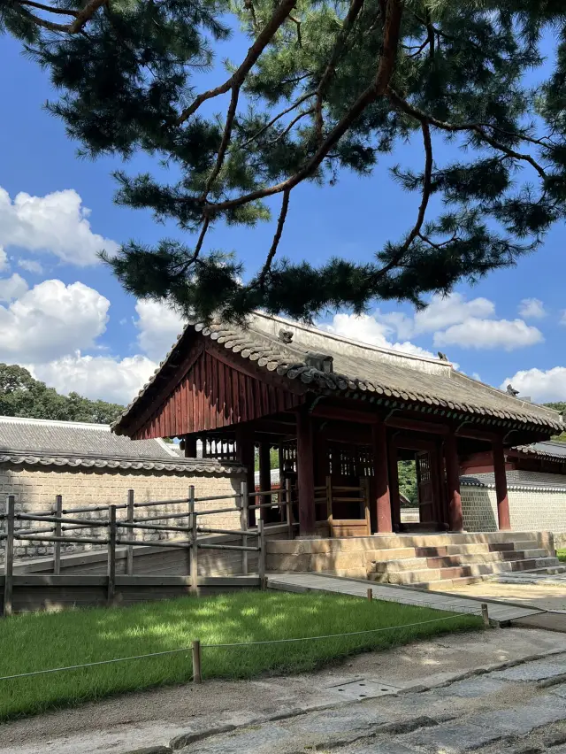 Exploring the Jongmyo Shrine Main Hall Area