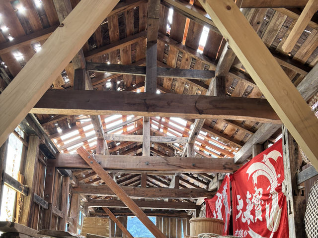 Day Trip to Amanohashidate & Ine Fishing Bay