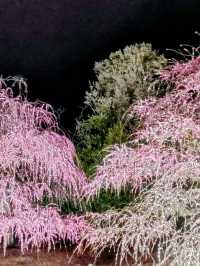 梅とグルメの一泊二日