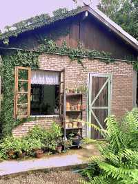 จิบกาแฟในสวน 🌿📚 ที่นิยายบ้านสวน
