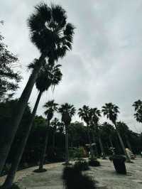 香港|馬灣大自然公園|香港秋景名所|海島綠洲的自然風光