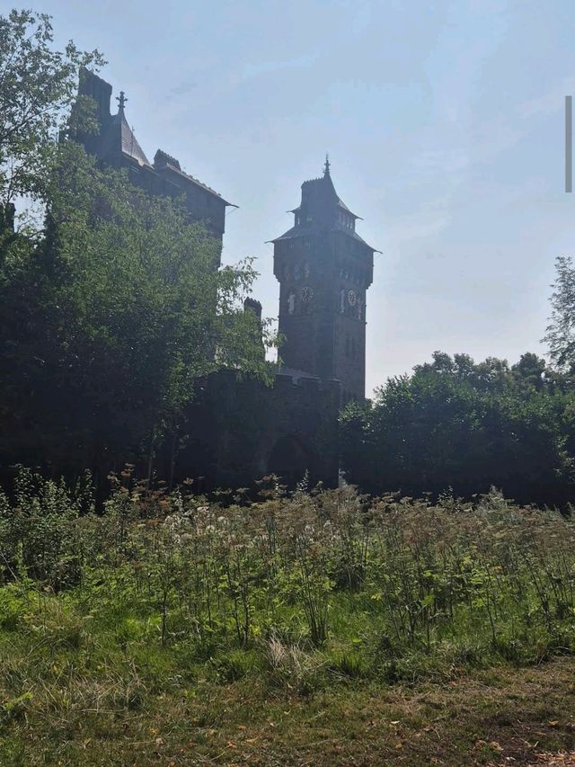 Bute Park (Cardiff)