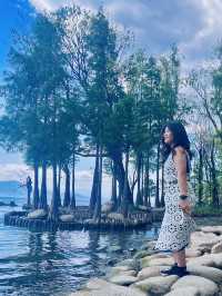 Dali's Magic: From Illuminated Nights to Tranquil Mornings at Erhai Lake( Spring Edition)