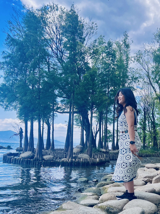 Dali's Magic: From Illuminated Nights to Tranquil Mornings at Erhai Lake( Spring Edition)