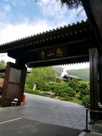 🪷 Tsz Shan Monastery วัดซีซาน
