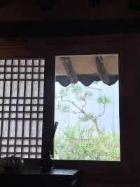 ๐์ฉ์ธ ๊ฒฝ๊ธฐ๋ ํ์ฅ์นดํ ์ถ์ฒ ์ ์ด์ปคํผ๐ ๐ช