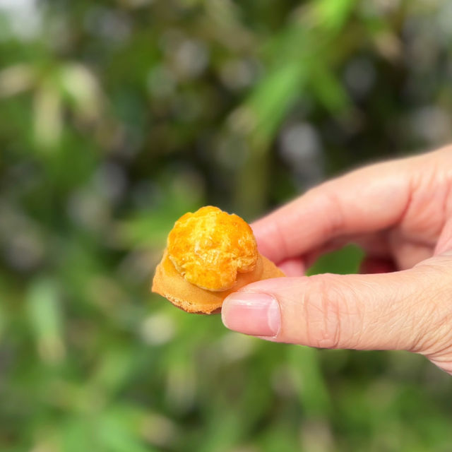 必試Q版菠蘿包雞蛋仔🌟