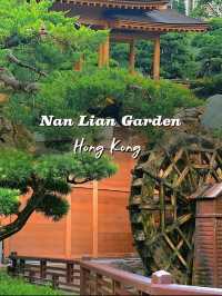 A Slice of Tranquility: Nan Lian Garden in Hong Kong