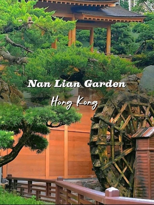 A Slice of Tranquility: Nan Lian Garden in Hong Kong A Slice of Tranquility: Nan Lian Garden in Hong Kong