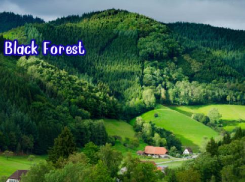 Black Forest ป่าลึกลับแห่งเยอรมันนี