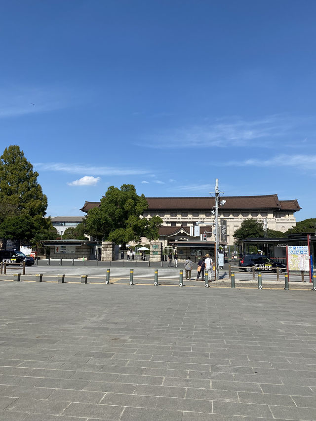 【東京都上野🇯🇵 上野恩賜公園】美術館や動物園に行くもよし‼️カフェでまったりするもよし☺️