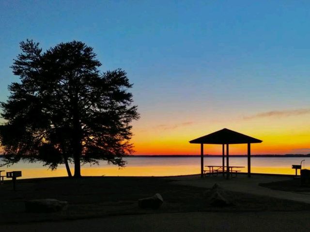 Beauty Scene Beauty Scene