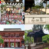 Dazaifu-tenmangu Shrineวัดดังฟุกุโอกะ
