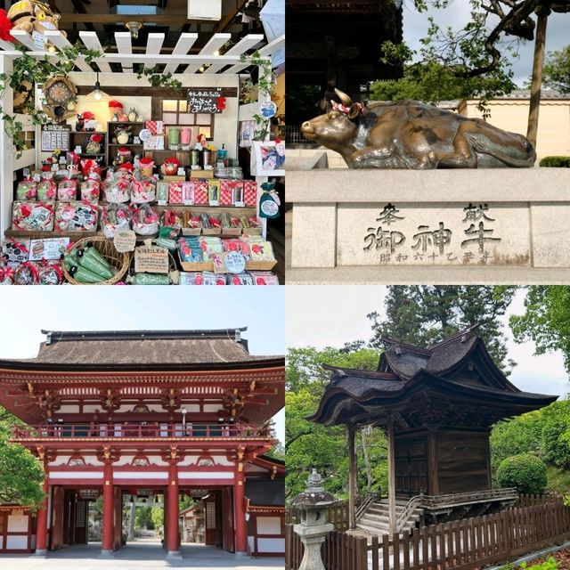 Dazaifu-tenmangu Shrineวัดดังฟุกุโอกะ