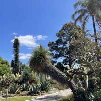 馬尼拉熱帶花園必去Chill景點🌴
