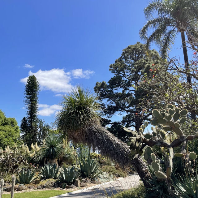 馬尼拉熱帶花園必去Chill景點🌴