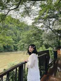River Kwai Resotel ที่พักกลางป่าท่ามกลางความสงบ