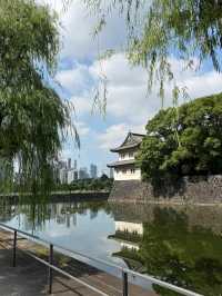 THE IMPERIAL PALACE.
