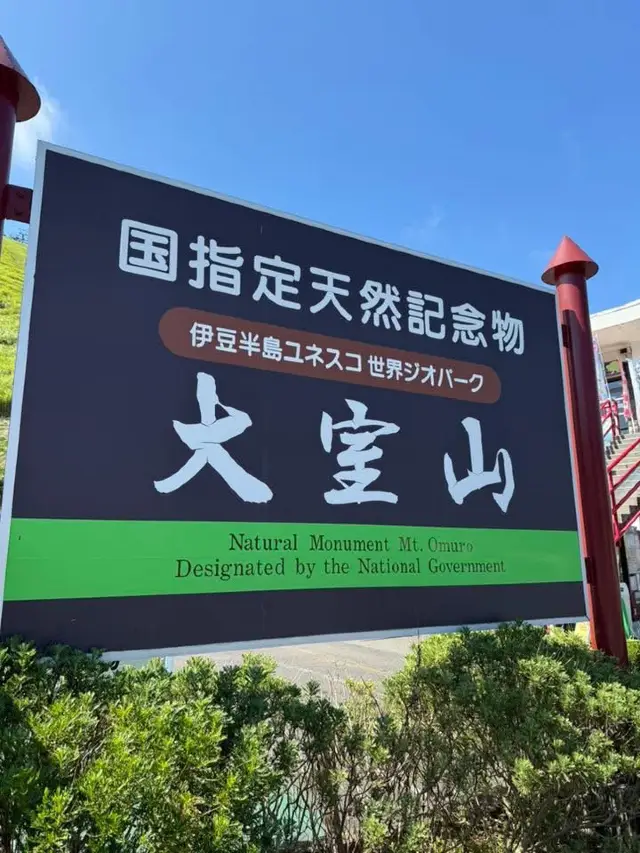 日本靜岡伊東景點 大室山 火山