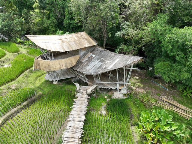 Giant Bamboo Hut Giant Bamboo Hut