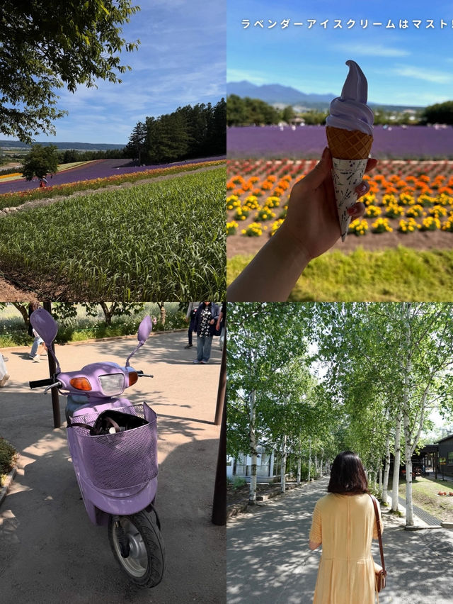 札幌⇨富良野・美瑛の旅🚗