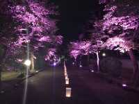 【岡山】津山城ナイトファンタジア✨光に包まれる幻想の城夜景🏯 