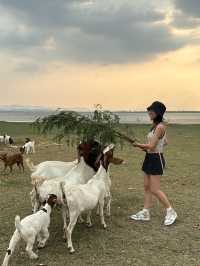 เขื่อนป่าสักชลสิทธิ์ ลพบุรี 🌄