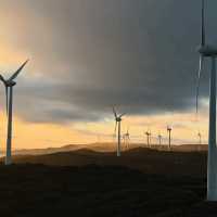 The Albany Wind Farm