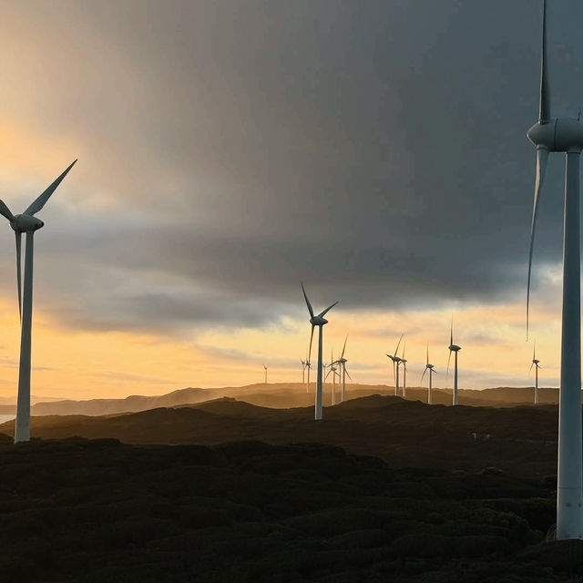 The Albany Wind Farm
