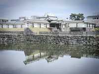 Guardian of the Tokaido: My Solo Visit to Odawara Castle